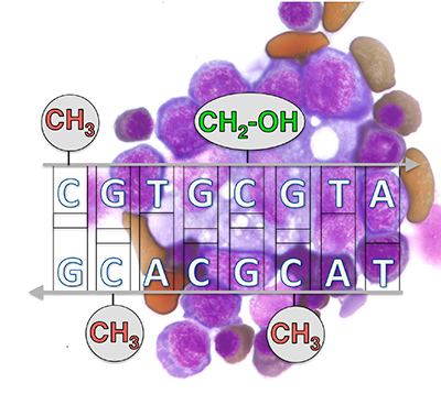 DNA Demethylation