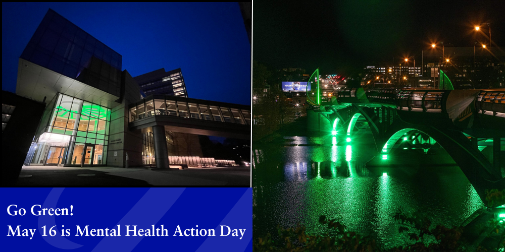 building with lobby lights lit up green bridge over water at night lit up green