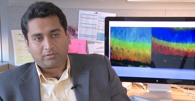 Hemant Khanna, PhD