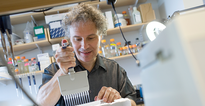 Dr. Ambros in his lab