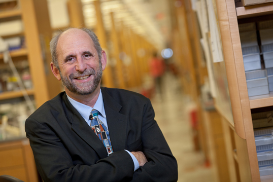 Michael Green appointed director of UMass Cancer Center