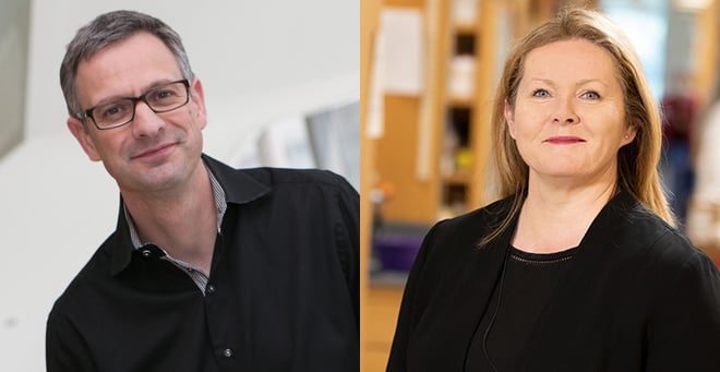 Job Dekker and Katherine Fitzgerald elected to National Academy of Medicine