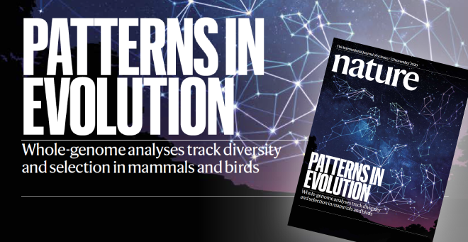 Scientists sequence genomes of 240 animals to understand evolution at DNA level