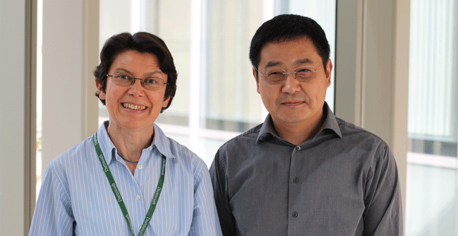 Elizabeth Procter-Gray , PhD, and Wenjin Li, PhD